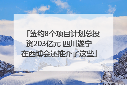 签约8个项目计划总投资203亿元 四川遂宁在西博会还推介了这些