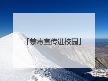 禁毒宣传进校园