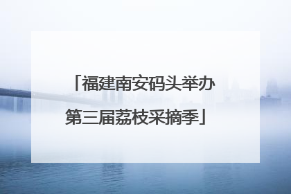福建南安码头举办第三届荔枝采摘季