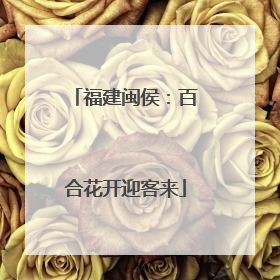 福建闽侯：百合花开迎客来