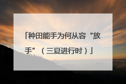 种田能手为何从容“放手”（三夏进行时）
