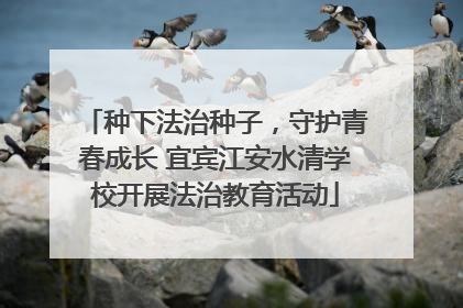种下法治种子，守护青春成长 宜宾江安水清学校开展法治教育活动