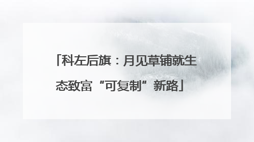 科左后旗：月见草铺就生态致富“可复制”新路