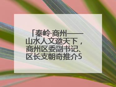 秦岭·商州——山水人文邀天下，商州区委副书记、区长支朝奇推介5个重点招商项目