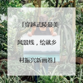 穿越武陵最美风景线，绘就乡村振兴新画卷