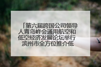 第六届跨国公司领导人青岛峰会通用航空和低空经济发展论坛举行 滨州市全方位推介低空经济发展优势