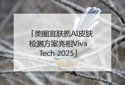 美图宜肤携AI皮肤检测方案亮相VivaTech 2025