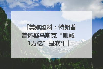 美媒爆料：特朗普曾怀疑马斯克“削减1万亿”是吹牛