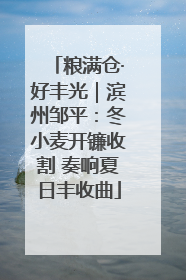 粮满仓·好丰光｜滨州邹平：冬小麦开镰收割 奏响夏日丰收曲