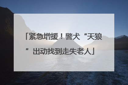 紧急增援！警犬“天狼”出动找到走失老人