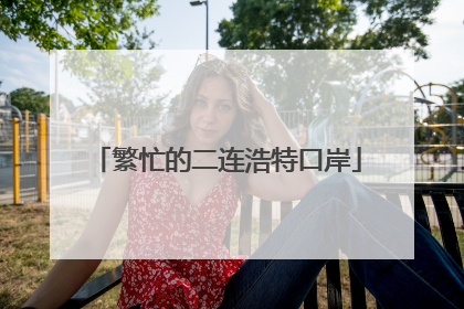 繁忙的二连浩特口岸