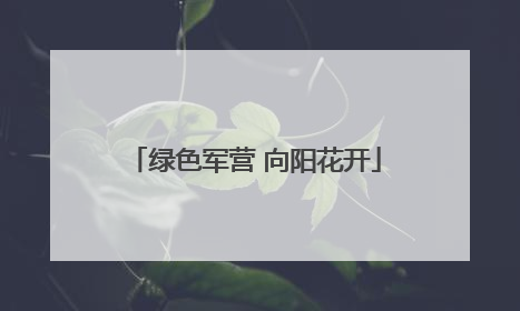 绿色军营 向阳花开