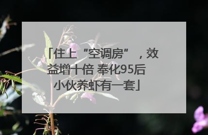 住上“空调房”，效益增十倍 奉化95后小伙养虾有一套