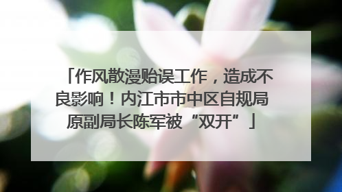 作风散漫贻误工作，造成不良影响！内江市市中区自规局原副局长陈军被“双开”