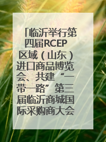 临沂举行第四届RCEP区域（山东）进口商品博览会、共建“一带一路”第三届临沂商城国际采购商大会新闻发布会