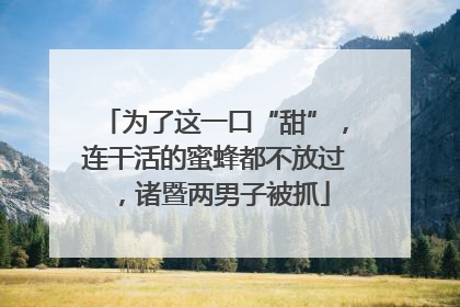 为了这一口“甜”，连干活的蜜蜂都不放过，诸暨两男子被抓