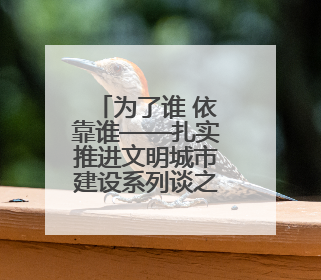 为了谁 依靠谁——扎实推进文明城市建设系列谈之一