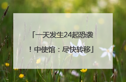 一天发生24起恐袭！中使馆：尽快转移