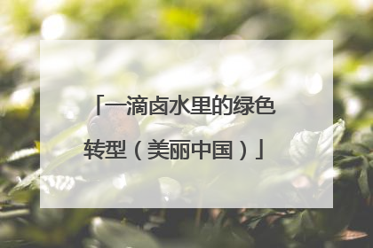 一滴卤水里的绿色转型（美丽中国）