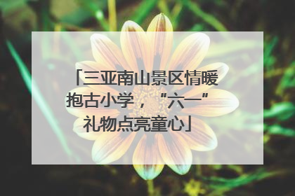 三亚南山景区情暖抱古小学，“六一”礼物点亮童心