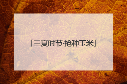 三夏时节·抢种玉米