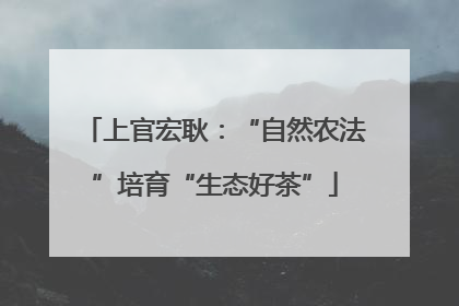 上官宏耿：“自然农法”培育“生态好茶”