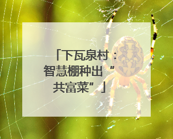 下瓦泉村：智慧棚种出“共富菜”