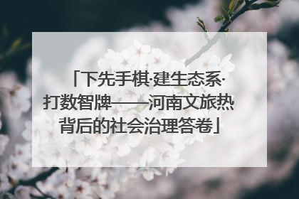 下先手棋·建生态系·打数智牌——河南文旅热背后的社会治理答卷