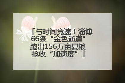 与时间竞速！淄博66条“金色通道”跑出156万亩夏粮抢收“加速度”