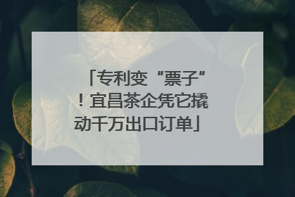专利变“票子”！宜昌茶企凭它撬动千万出口订单