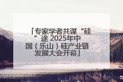 专家学者共谋“硅”途 2025年中国（乐山）硅产业链发展大会开幕