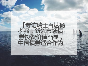 专访瑞士百达杨孝强：新兴市场债券投资价值凸显，中国债券适合作为“稳定器”