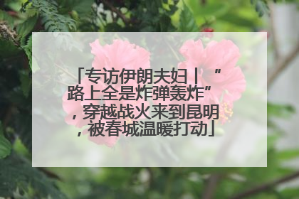 专访伊朗夫妇丨“路上全是炸弹轰炸”，穿越战火来到昆明，被春城温暖打动