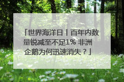 世界海洋日丨百年内数量锐减至不足1% 非洲企鹅为何迅速消失？