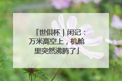 世俱杯｜闲记：万米高空上，机舱里突然沸腾了