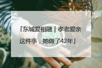 东城爱相融｜孝老爱亲这件事，她做了42年