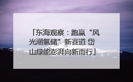 东海观察：跑赢“风光潮氢储”新赛道 岱山绿能澎湃向新而行