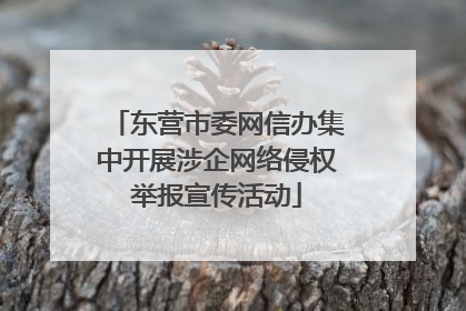 东营市委网信办集中开展涉企网络侵权举报宣传活动