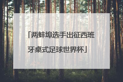 两蚌埠选手出征西班牙桌式足球世界杯