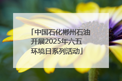 中国石化郴州石油开展2025年六五环境日系列活动
