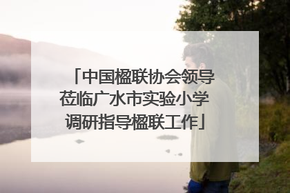 中国楹联协会领导莅临广水市实验小学调研指导楹联工作