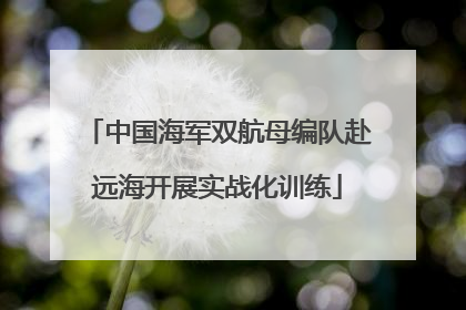 中国海军双航母编队赴远海开展实战化训练
