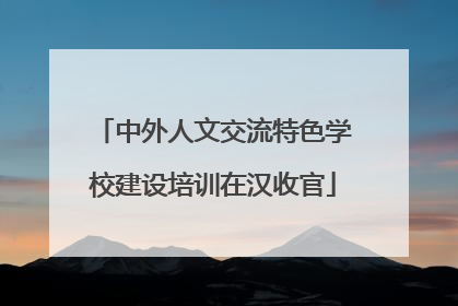中外人文交流特色学校建设培训在汉收官