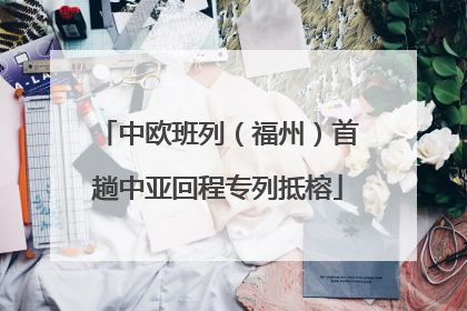 中欧班列（福州）首趟中亚回程专列抵榕