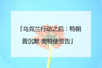 乌克兰行动之后：特朗普沉默 美特使警告