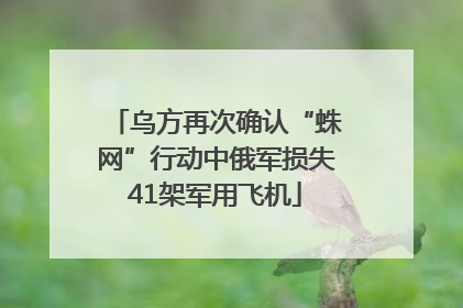乌方再次确认“蛛网”行动中俄军损失41架军用飞机