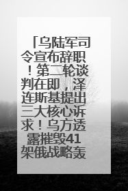乌陆军司令宣布辞职！第二轮谈判在即，泽连斯基提出三大核心诉求！乌方透露摧毁41架俄战略轰炸机