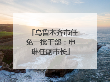 乌鲁木齐市任免一批干部：申琳任副市长