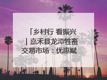乡村行 看振兴｜嘉禾县龙潭牲畜交易市场：优惠赋能促交易 乡村振兴添动能