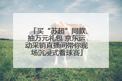 买“苏超”同款、抽万元礼包 京东运动采销直播间带你现场沉浸式看球赛